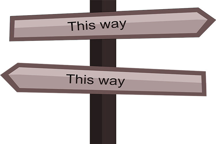 BLOGPOST_ThisWay06132024.jpg